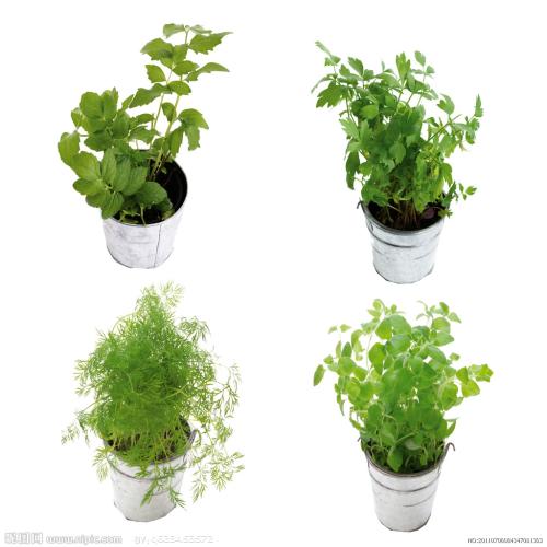 հ죺ˮϵȫͨ ˳ǡø˾