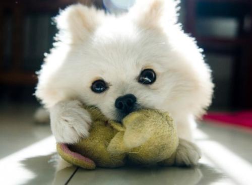 ж! 2020սͼ:48ɽ ¹ű