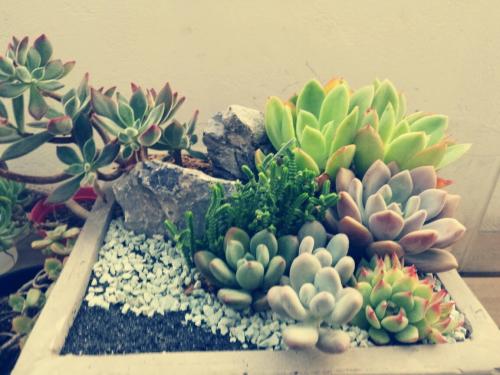 ձͣ׼뾳 Ӣ䶨ڿ˺ͣ